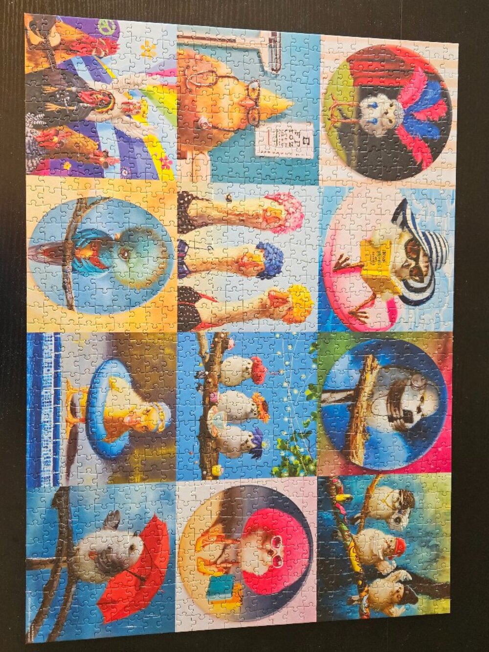 Eurographics funny birds 1000 piece puzzle